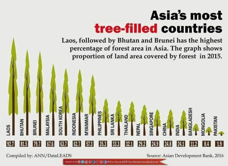 Tree filled. Percentage of Forest Cover per Country.